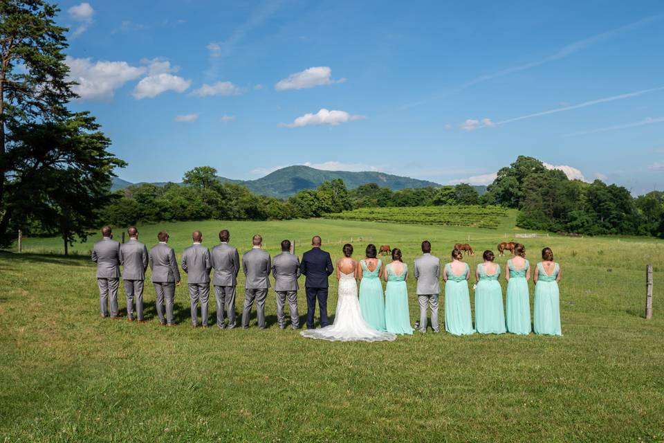 Newlyweds, bridesmaids, and groomsmen