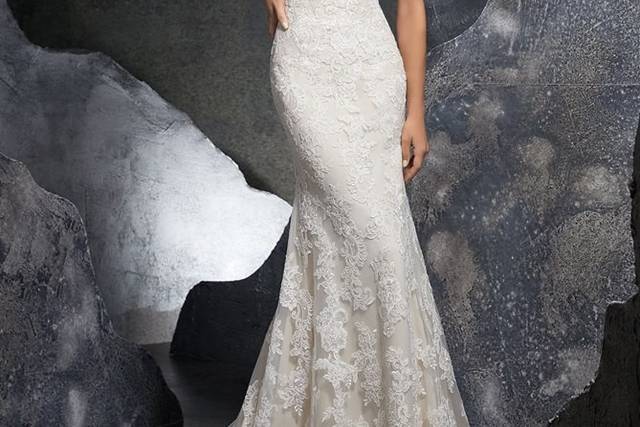 Bardot neckline