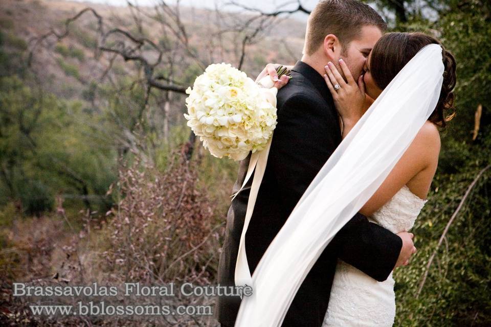 Brassavolas Floral Couture