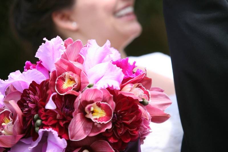 Brassavolas Floral Couture