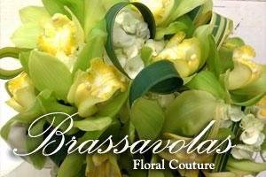 Brassavolas Floral Couture