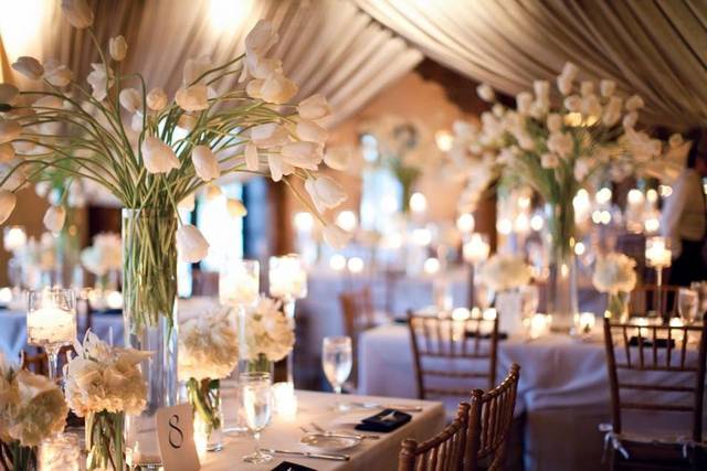 Table set-up with centerpiece