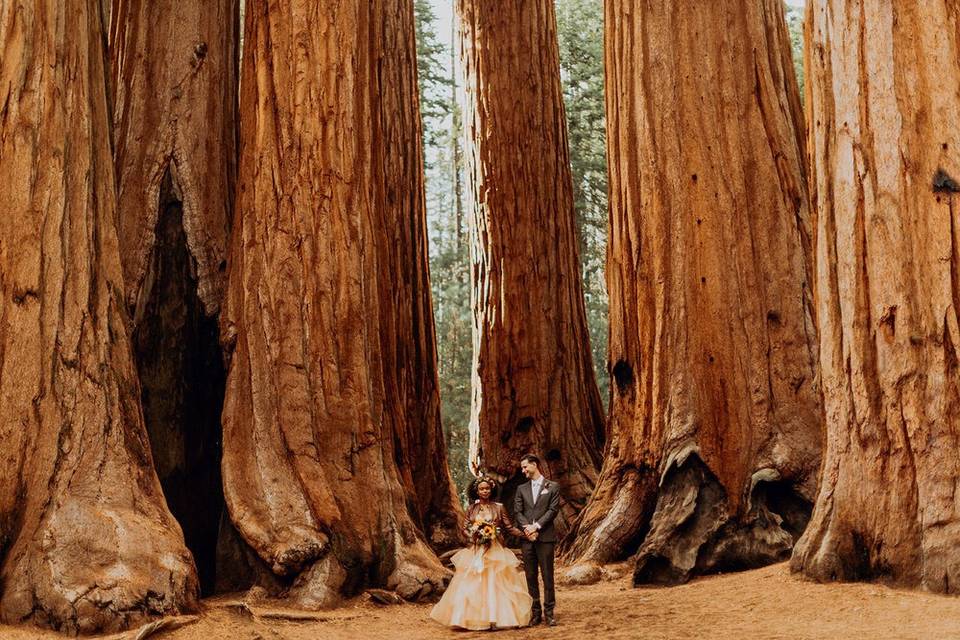 Sequoia Weddings - All Inclusive weddings & elopements