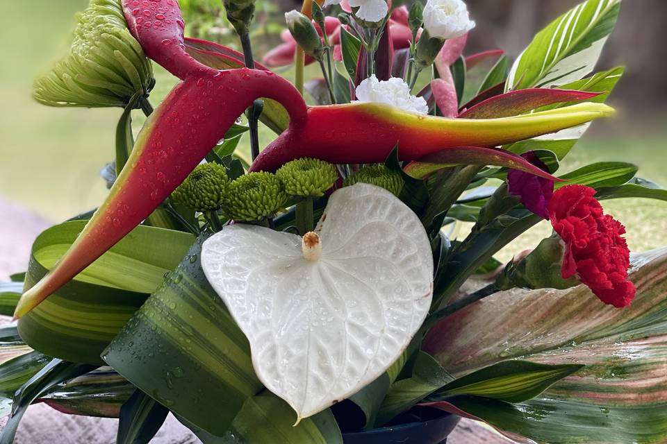 Medium Arrangement