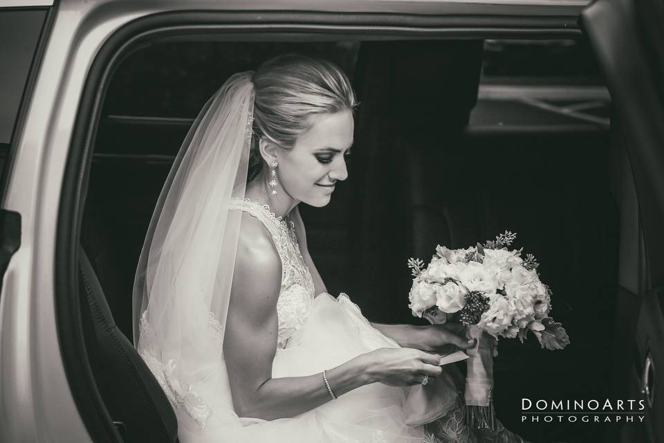 Domino Arts Photography