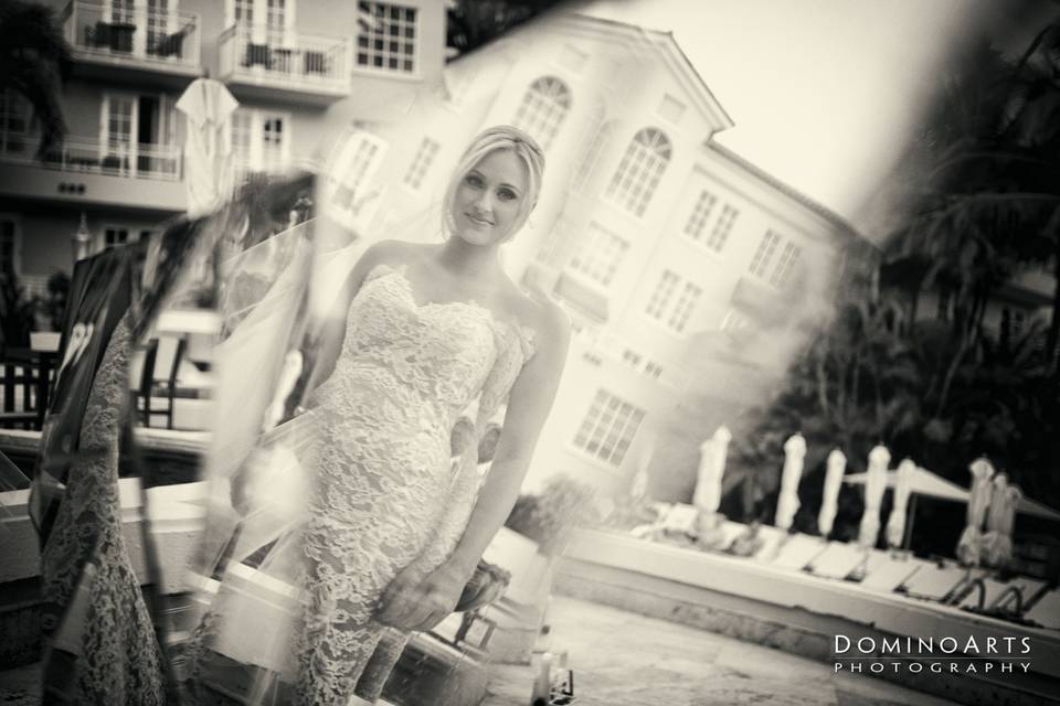 Domino Arts Photography