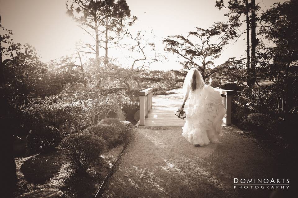Domino Arts Wedding Photography