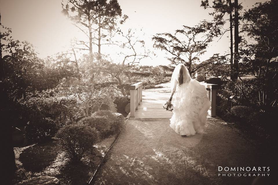 Domino Arts Photography