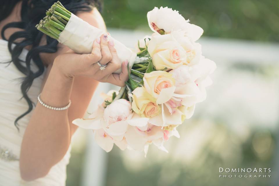 Domino Arts Photography