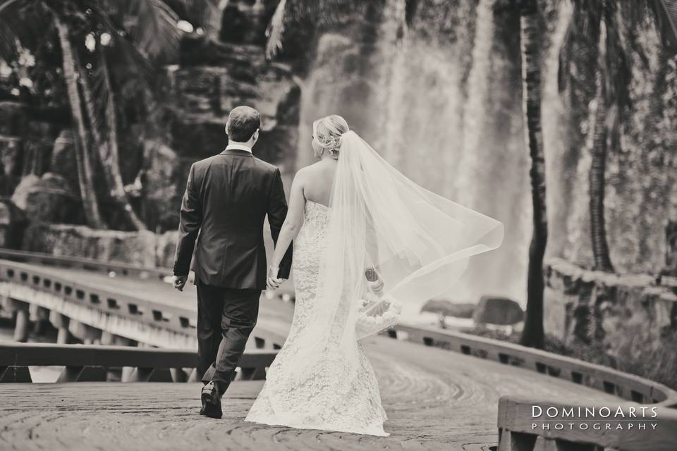 Domino Arts Photography