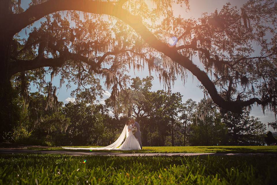 Sun-drenched bridal portrait