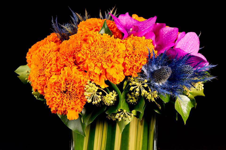 Mahir Floral & Event Design