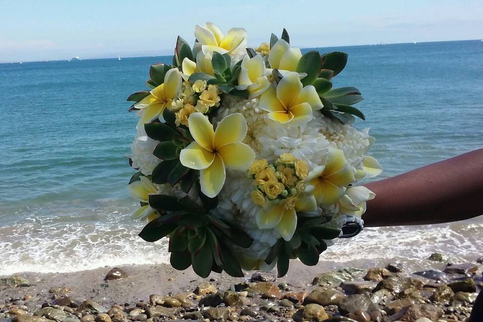 Flowers of Point Loma