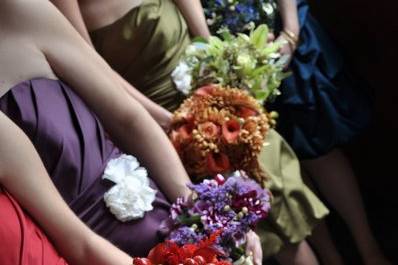 Photography by Amanda Pitzer