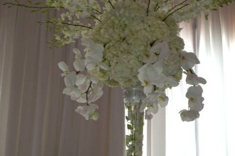 Flowers and Decor