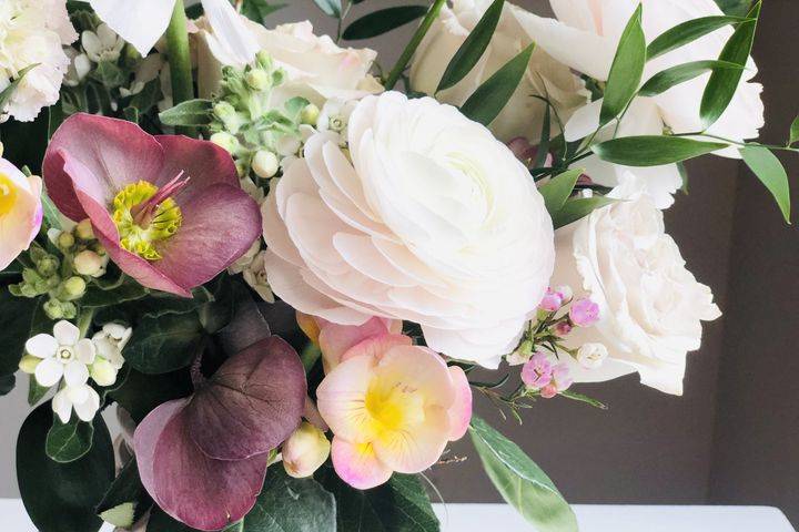 Ranunculus & Hellebore