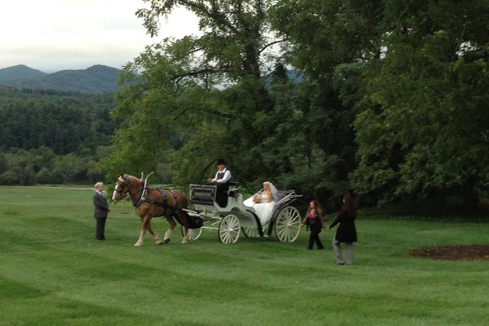 Biltmore estate wedding, horse and carriage entrance