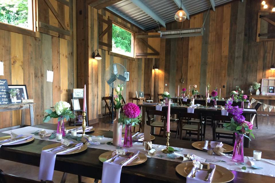 Wedding reception at the vineyards at betty's creek, sylva, nc (near dillsboro). Pavilion with farm tables.