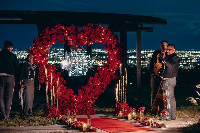 Red Roses Proposal