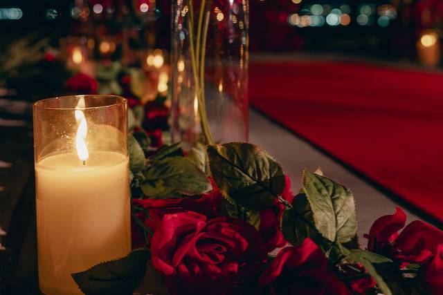 Red Roses Proposal