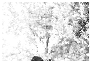 Sharon Bushman Photography