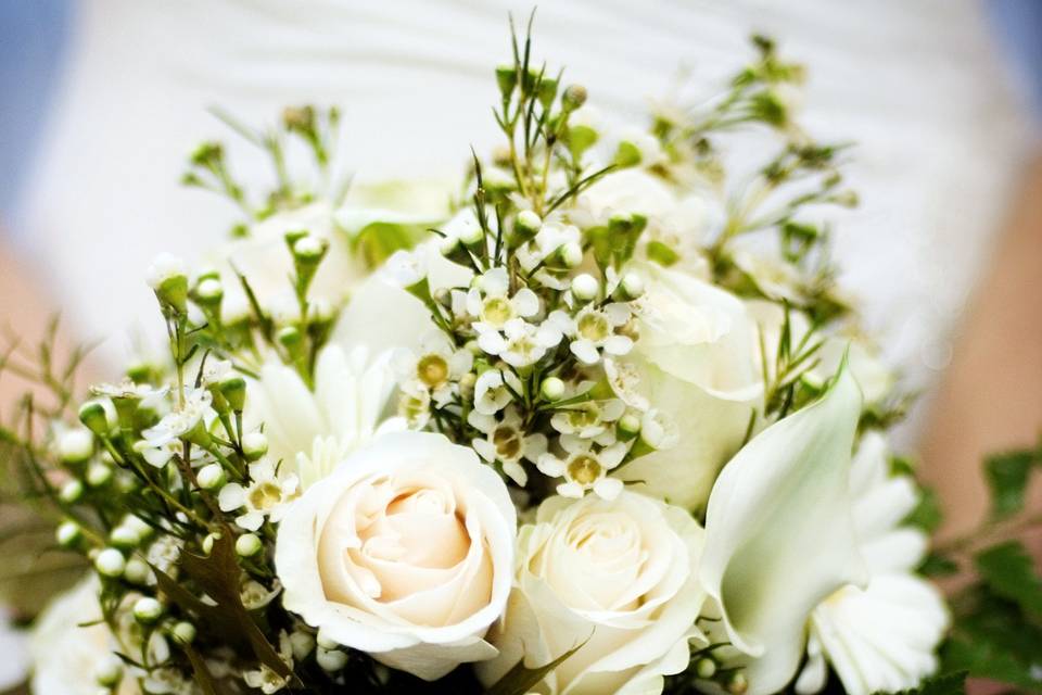 Cooley Photography