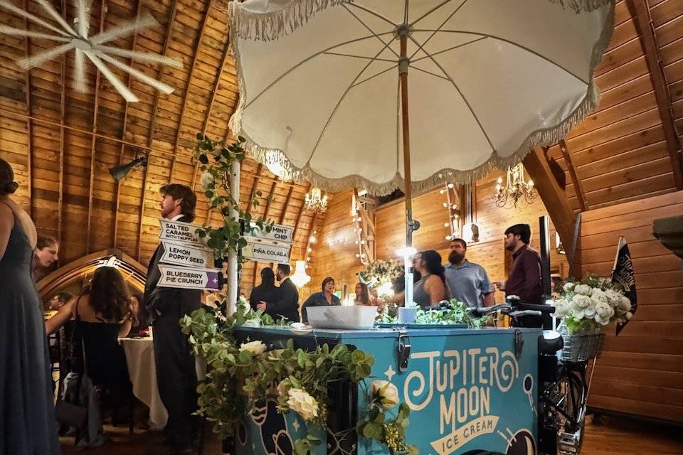 Jupiter Moon Ice Cream Bike