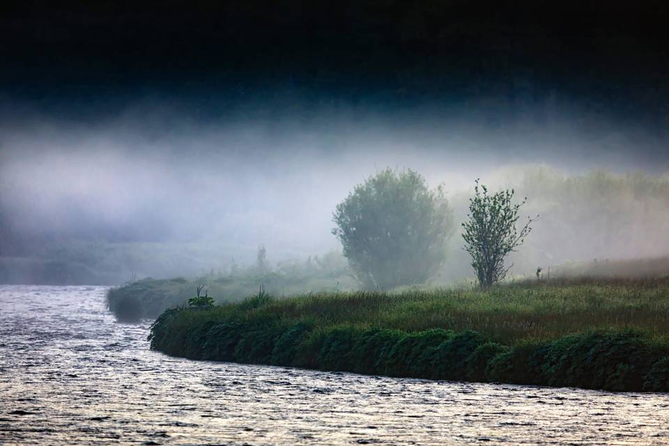 Fog over the Metolius