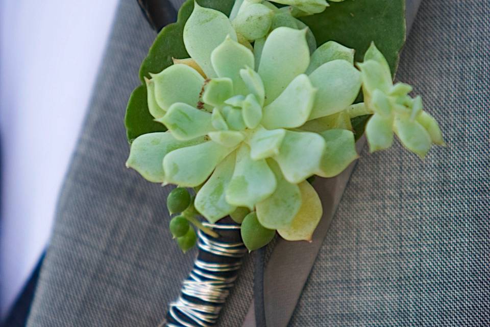 Succulent boutonnieres