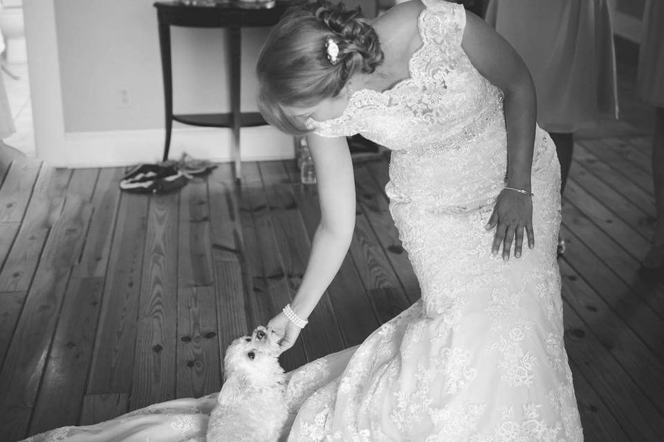 Bride petting the dog