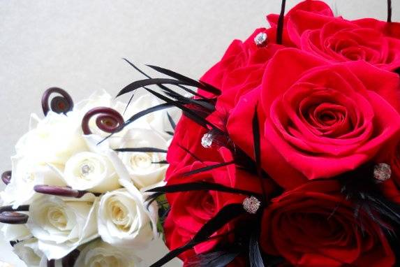 red roses, black feathers