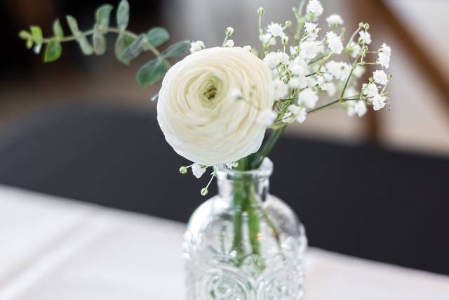 Flora Design Studio