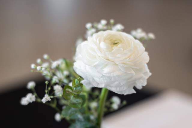 Flora Design Studio