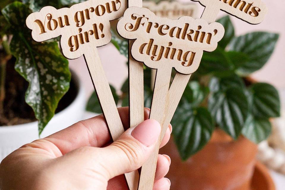 Flora Design Studio