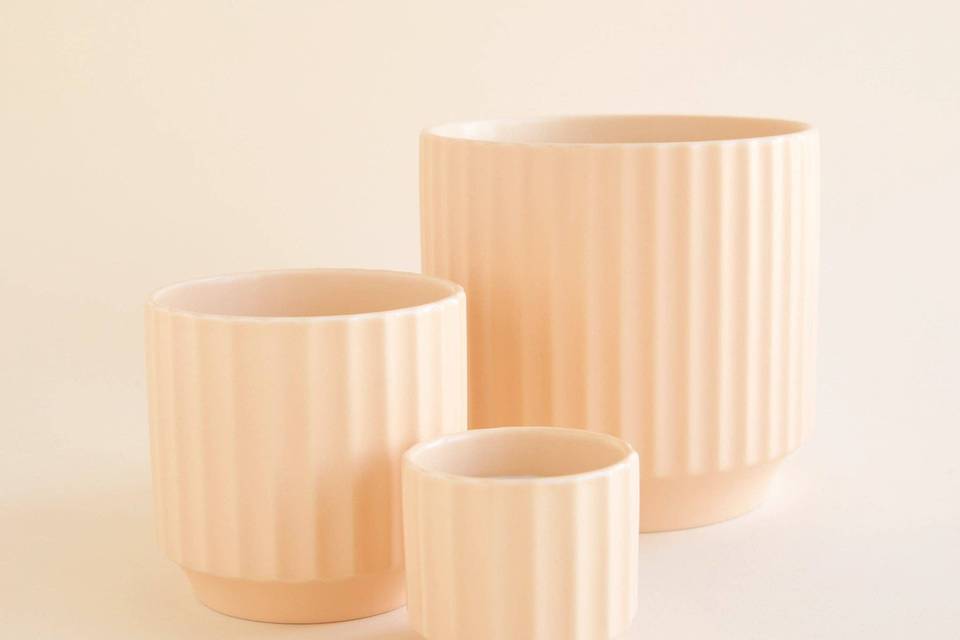 Flora Design Studio