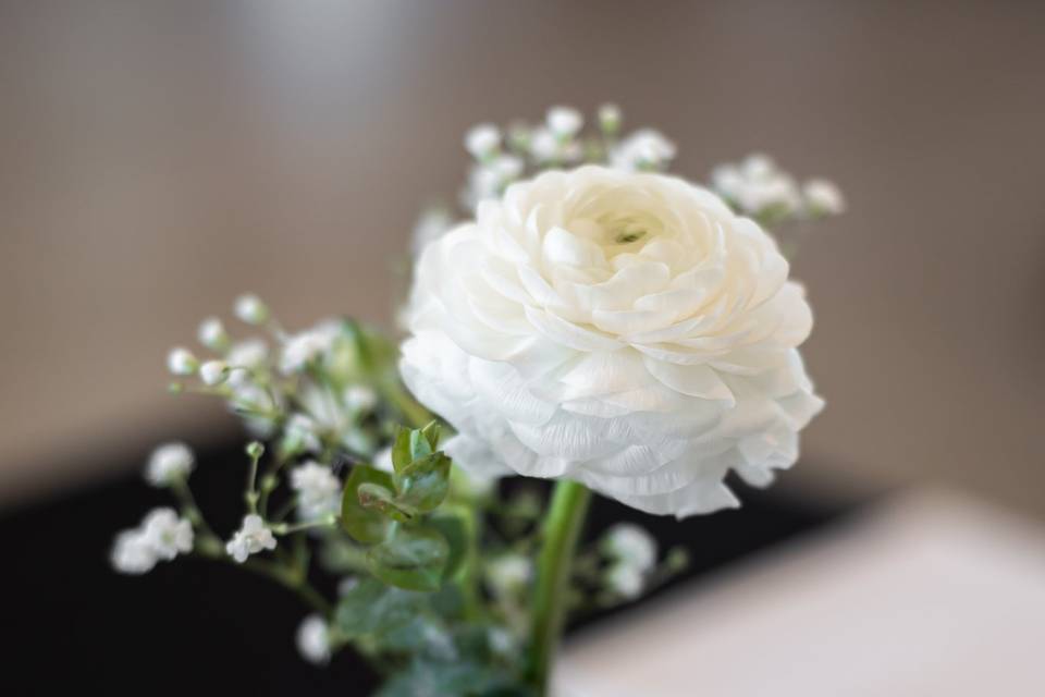 Flora Design Studio