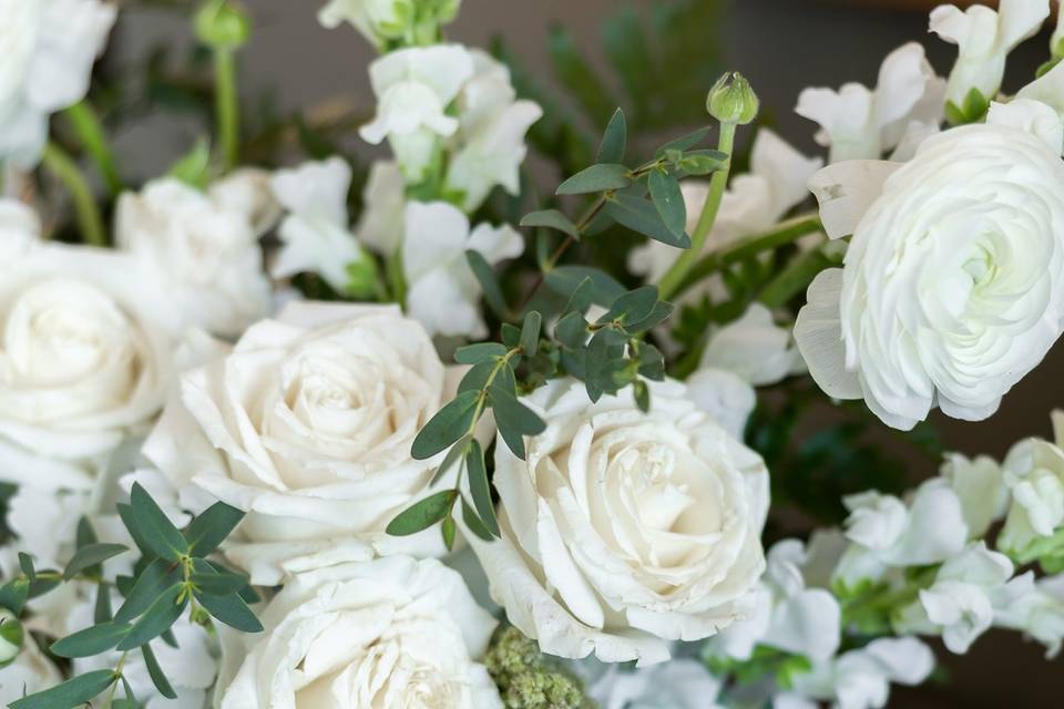 Flora Design Studio