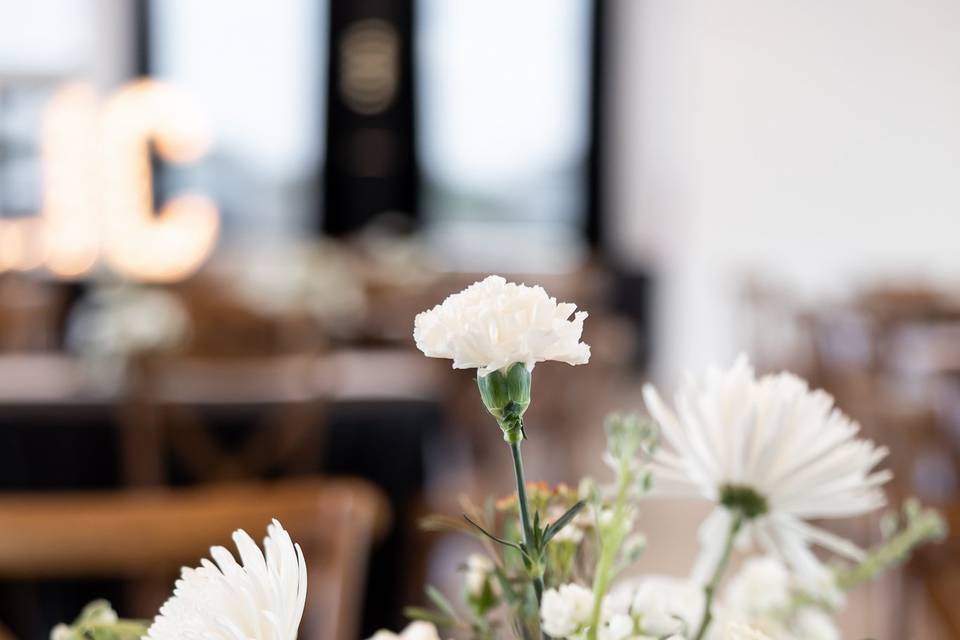 Flora Design Studio
