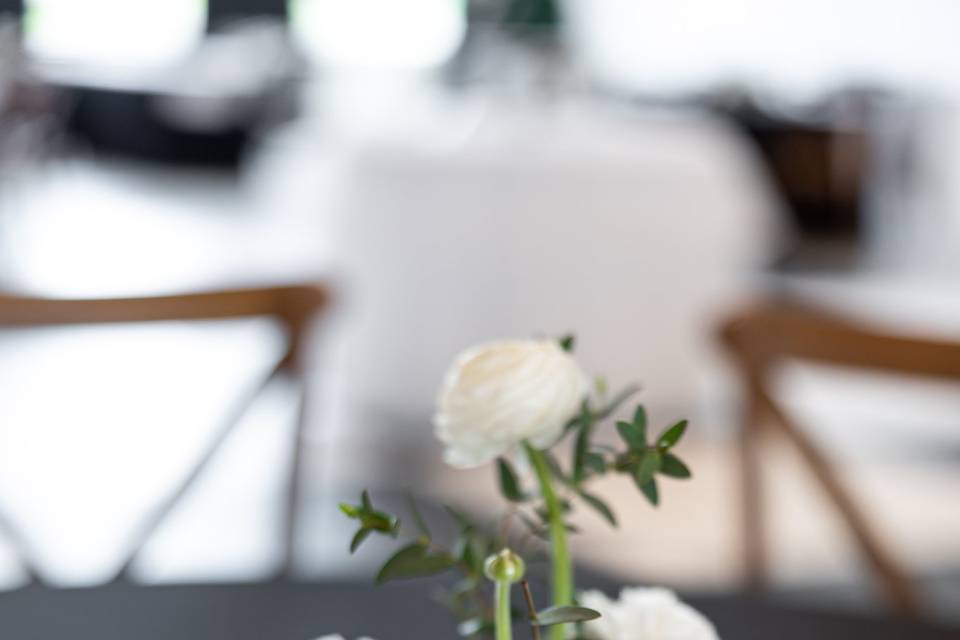 Flora Design Studio