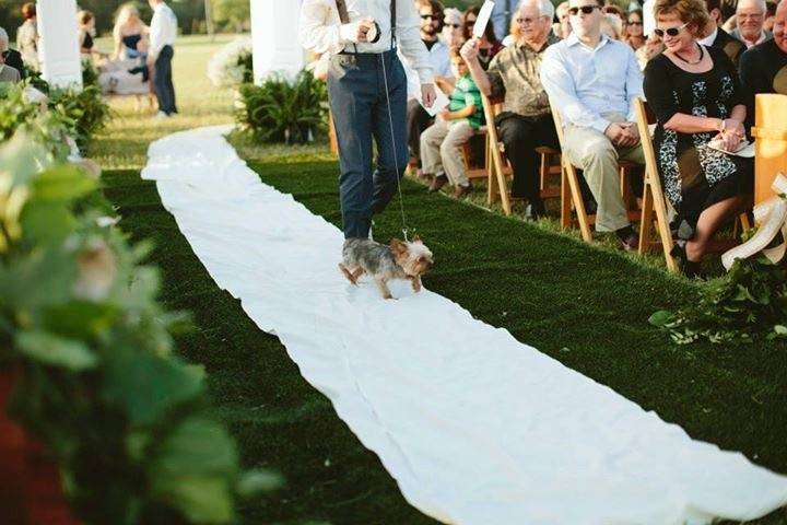 Wedding ceremony