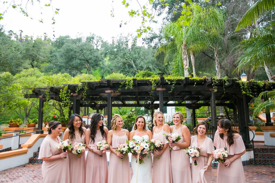 The bride with her bridesmaids