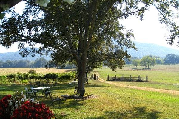 View from the Winery deck.
