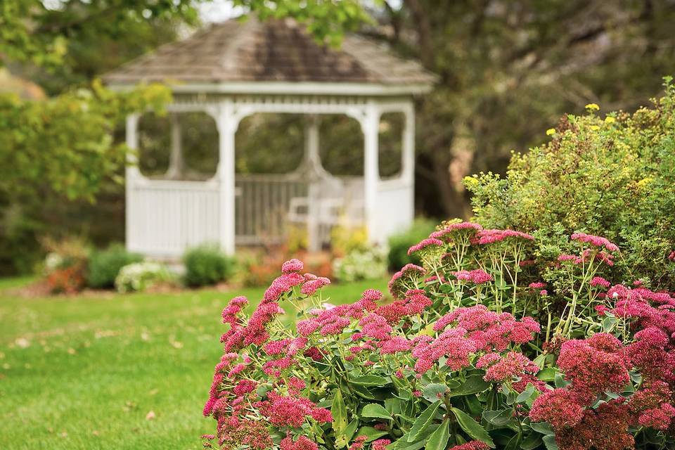 Gazebo in front yeard