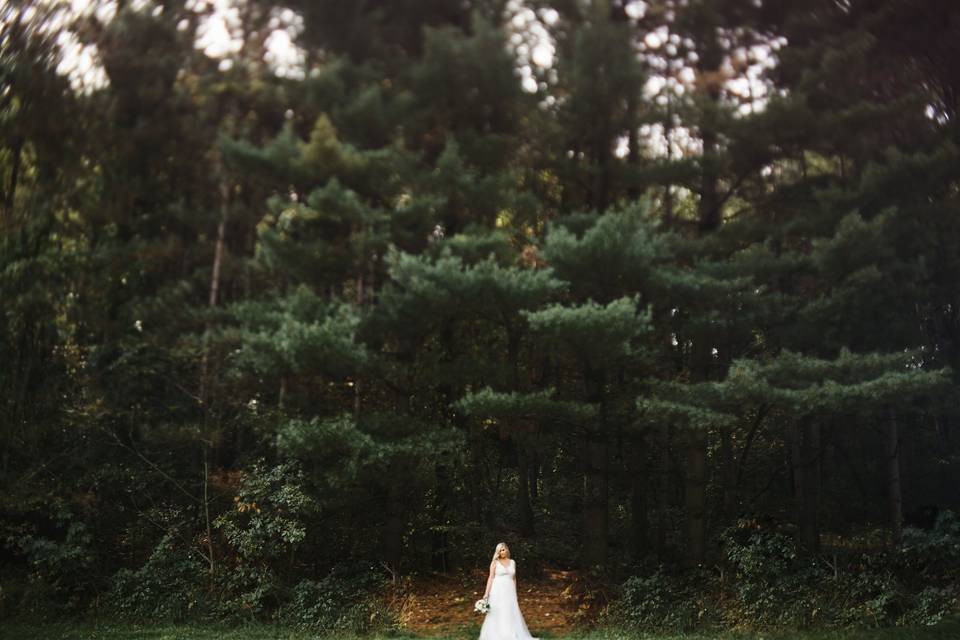 Row of pines lining ceremony site.  Shanelongphotography.com