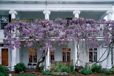 White exterior