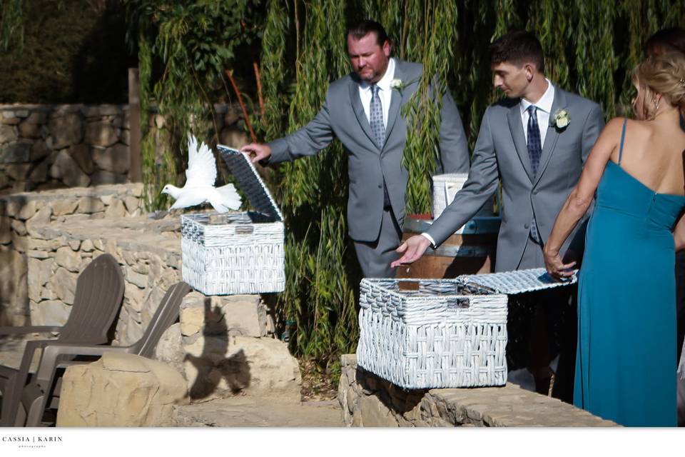 Dove Release at Tera Mia