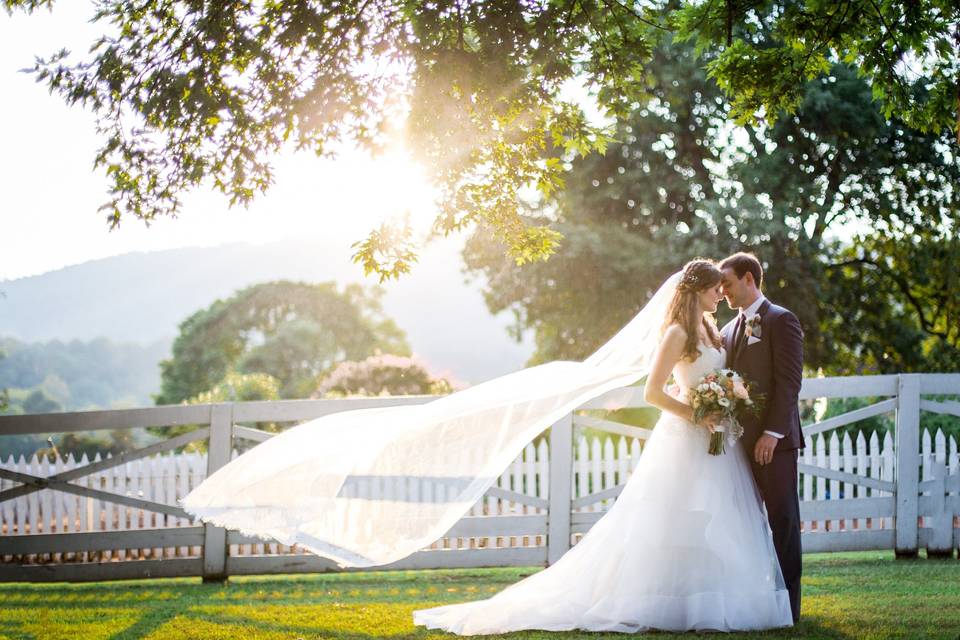 Newlyweds in the sunset