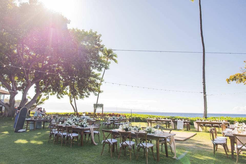 Oceanfront Bungalow Lawn