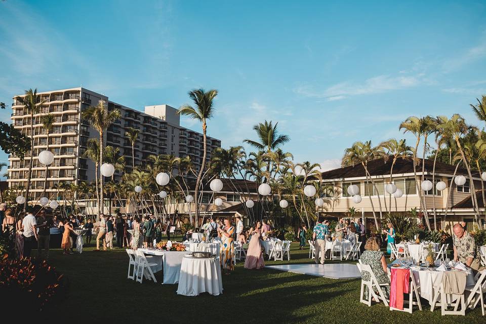 Oceanfront Bungalow Lawn