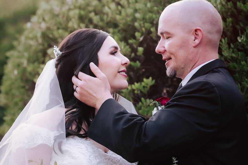 Peacock Gardens Veil Kiss